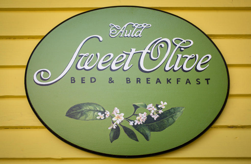 Auld Sweet Olive Bed And Breakfast Новый Орлеан Экстерьер фото